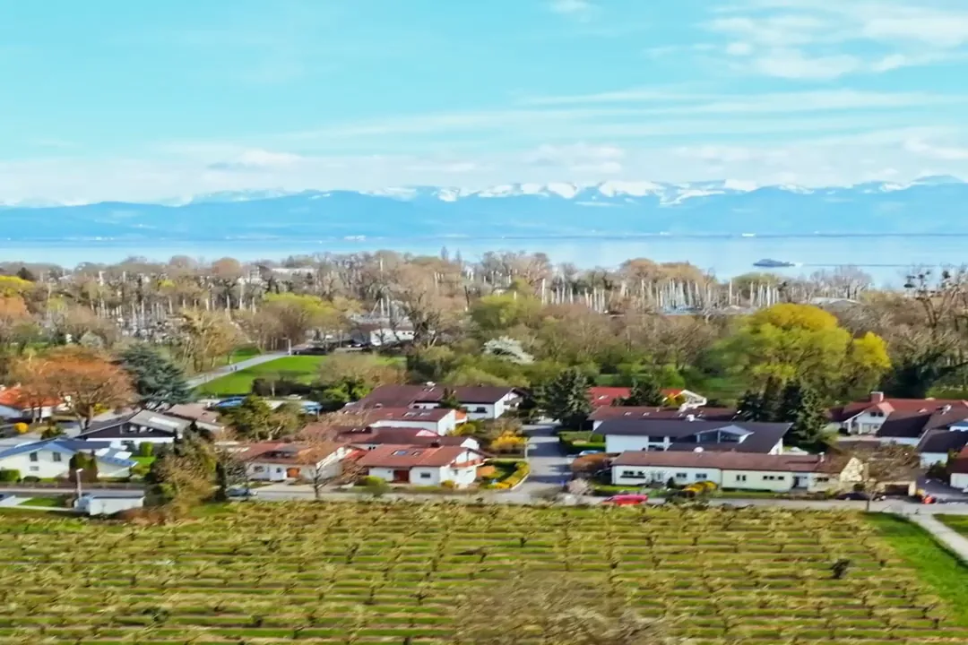 Drohnenaufnahme aus einem Objekttermin in Langenargen: Blick über den Ort und den Bodensee zu den Alpen