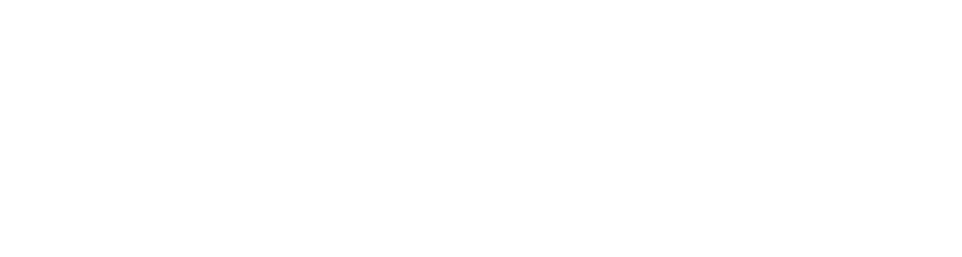 LS Immobilien Agentur